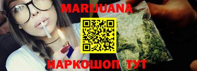 сатива Можга