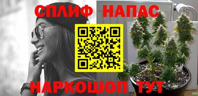 герыч Моздок
