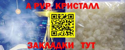 сатива Можга