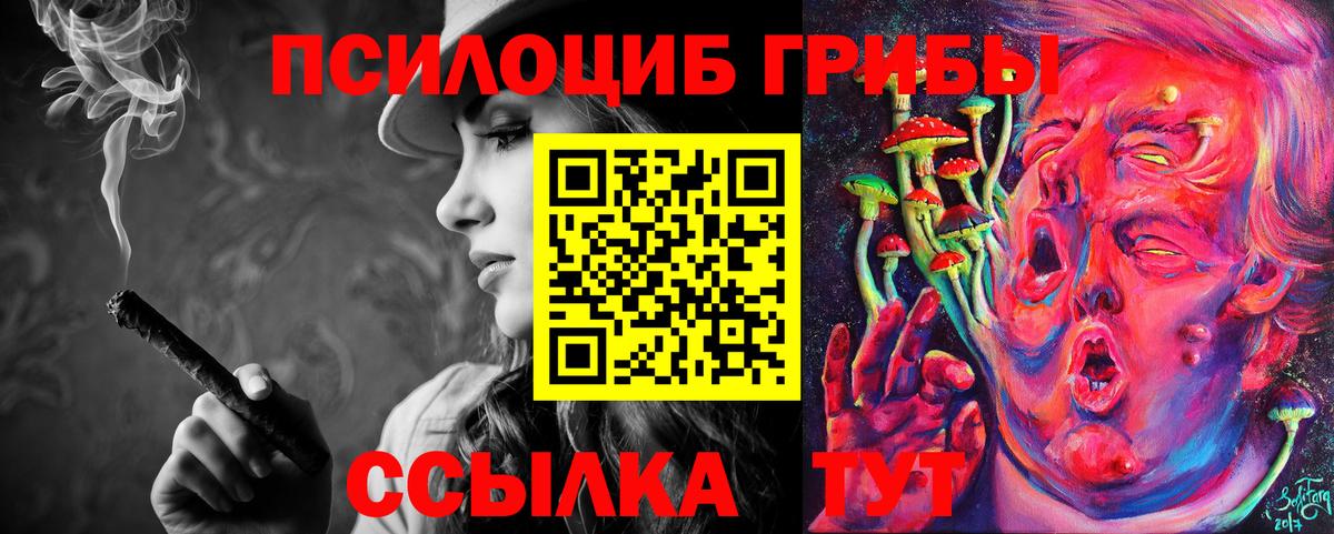 Псилоцибиновые грибы прущие грибы  Псилоцибиновые грибы Psilocybe  Вход с VPN  Сочи 